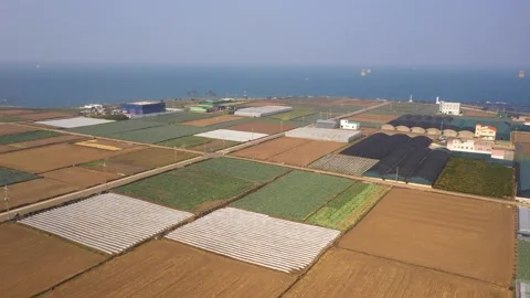 Aerial shot of fields, beach and seaside village,Jeju Island,South Korea Stock Footage 245953748