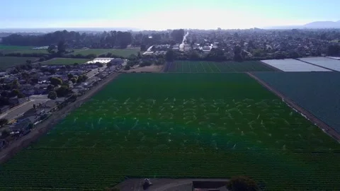 Aerial Shot of Fields being Watered in Arroyo Grande California Stock Footage 218637317