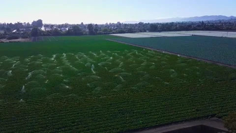 Aerial Shot of Fields Being Watered with a Rainbow Stock Footage 218637323