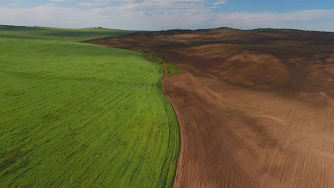 Aerial shot of fields with various types of agriculture. Farming. Aerial shot of 스톡 동영상 90114793