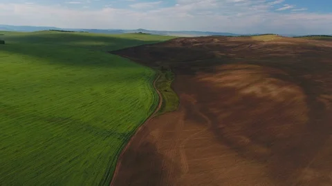 Aerial shot of fields with various types of agriculture. Farming. Aerial shot of Stock-Footage 90116253