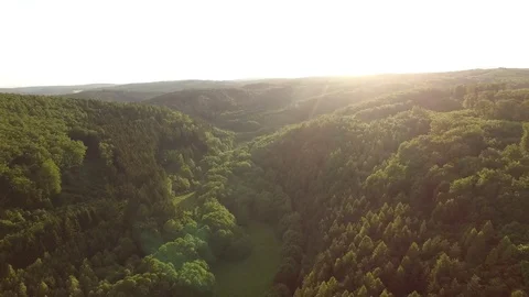 Aerial shot: flight over forest at sunset. Stock Footage 76573329