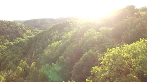 Aerial shot: flight over forest at sunset. Stock Footage 76573734