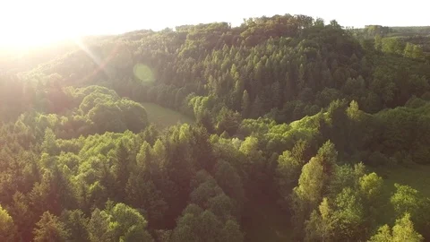 Aerial shot: flight over forest at sunset. Stock Footage 76573908