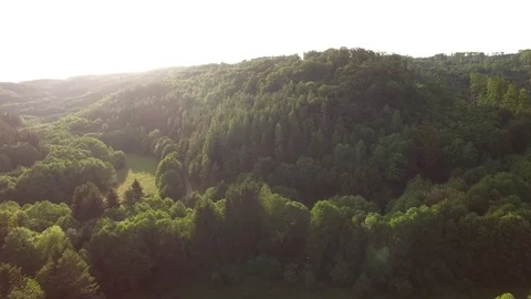 Aerial shot: flight over forest at sunset. Stock Footage 76574759