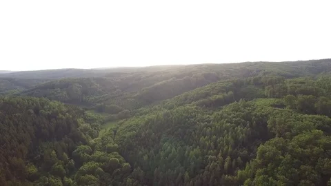 Aerial shot: flight over forest at sunset. Stock Footage 76574973