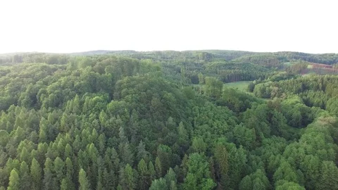Aerial shot: flight over forest at sunset. Stock Footage 76577070