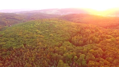 Aerial shot: flight over forest at sunset. Stock Footage 76814600