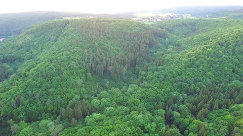 Aerial shot: flight over forest at sunset. Stock Footage 76815228