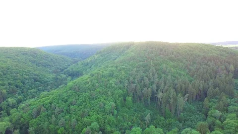 Aerial shot: flight over forest at sunset. Stock Footage 76815537