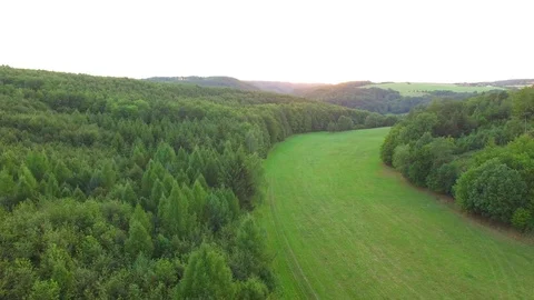 Aerial shot: flight over forest at sunset. Stock Footage 78501906