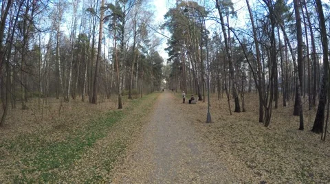 Aerial Shot: Flight over path in Moscow park 動画素材 58044139