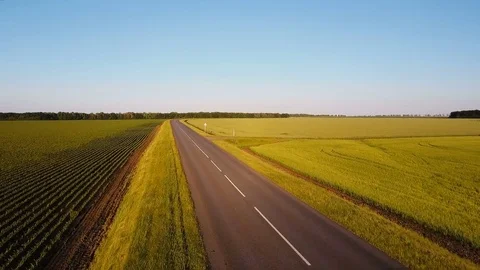 Aerial shot. Fly over empty country road in the summer evening between yellow Stock Footage 77415141