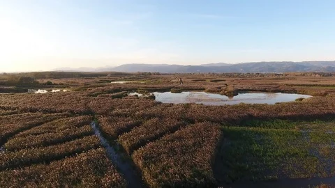 Aerial shot, fly over marshy landscape in europe, made with drone Vídeo Stock 69917488