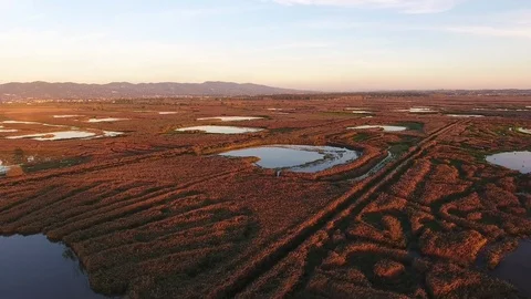 Aerial shot, fly over marshy landscape in europe, made with drone Stock Footage 73096484