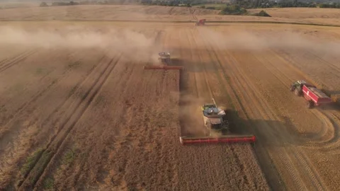 Aerial shot: flyin in front of combines harvesting weat Stock Footage