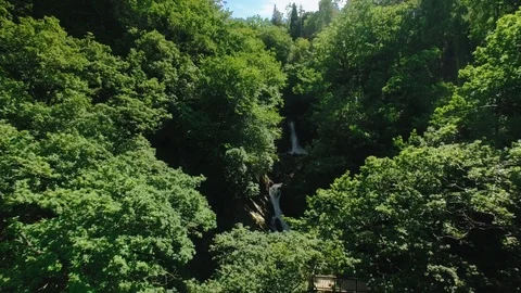 Aerial shot flying backwards in a small forest Stock Footage 90535168