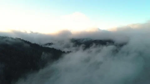 Aerial shot flying forward over a forest covered in low fog and clouds. 库存影片 147999225