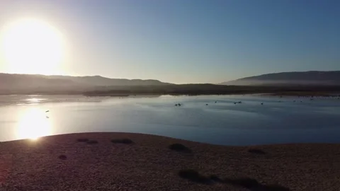 Aerial Shot flying left overlooking lake with pelicans - golden hour Stock Footage 161590568