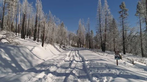 Aerial shot flying low over road tracks in deep snow powder. Winter forest. Video stock 103122017