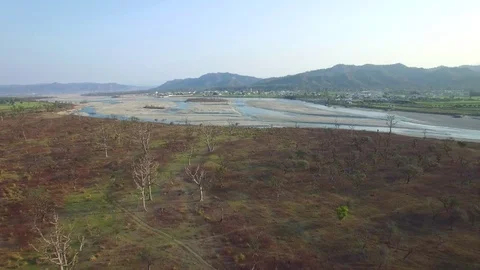 Aerial shot flying over empty sparse forest land towards a river. 库存影片 89356702