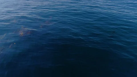 Aerial shot flying over open ocean. Camera pan up Stock Footage
