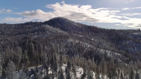 Aerial shot flying over trees in a winter landscape. White snow,. Video stock 103122253