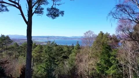 Aerial shot flying through trees looking out towards Beauly Firth, Scotland Stock Footage 237619861