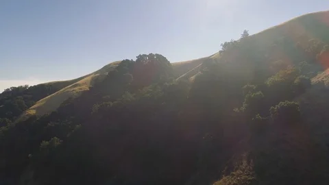 Aerial shot flying towards tree covered hills in the dazzling bright sun. Video stock 87791817