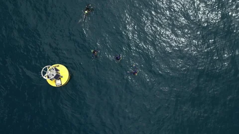 Aerial shot fo divers on the surface of the sea near a buoy. Stock Footage 262492802