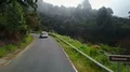 Aerial shot following and leaving car on mountain forest street with fog 4k or 4k+ Resolution