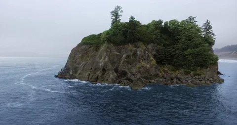 Aerial shot of  the forest on a cliff at Ruby Beach, Olympic Park, Washington Video stock 123838070