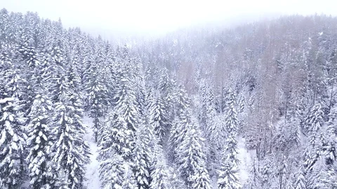 Aerial shot of forest covered in snow. Winter landscape of hills covered in snow Stock-Footage 84855352