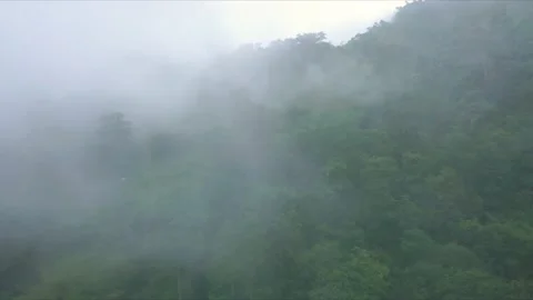Aerial shot of a forest entirely in the clouds, in Darjeeling, India Stock Footage 238794838