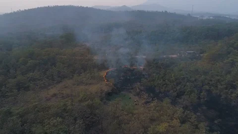 Aerial shot of Forest Fires Stock Footage