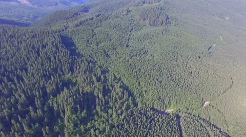 Aerial shot of forest Stock Footage 67558641
