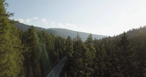 Aerial shot of the forest Stock Footage 129169864