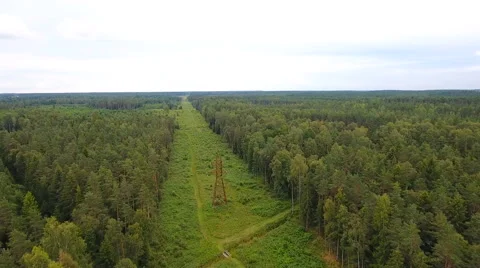 The aerial shot of the forest with lots of trees 스톡 동영상 67283763