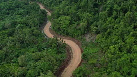 Aerial Shot on A Forest Road Stock Footage 205877981