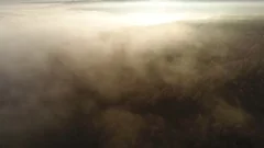 Aerial Shot of Forest Treetops in Winter at Sunrise with Fog Stock Footage