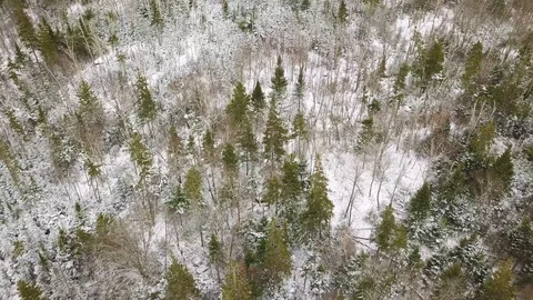 Aerial shot of forests in snow , Nova Scotia, Canada 스톡 동영상 101649833