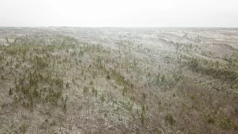 Aerial shot of forests with snow in winter ,Nova Scotia, Canada Stock Footage 102246777