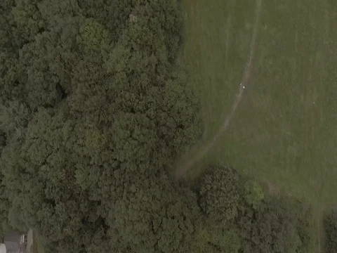 Aerial shot of Forrest Stock Footage 77840755