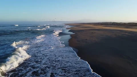 Aerial Shot forward over waves with pelicans - golden hour Stock Footage 161591839