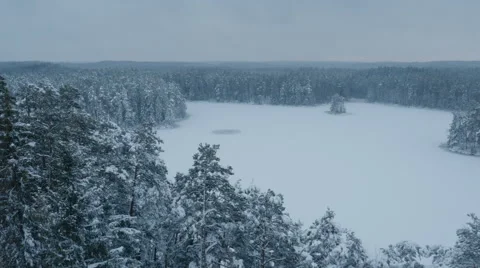 Aerial Shot of Frozen Lake Surrounded by Large Pine Forest Covered with Snow Stock Footage