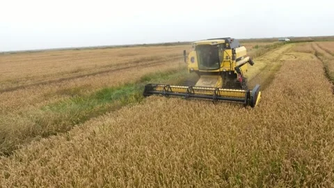 Aerial shot of a functioning combine harvester from low-flying drone in autumn Stock-Footage 143171247