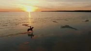 Aerial Shot Of A Girl On A Horse Galloping Along The Beach. Stock Footage