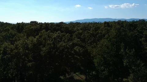 Aerial shot going up to down deep into forest with lens flare Stock Footage 87479282