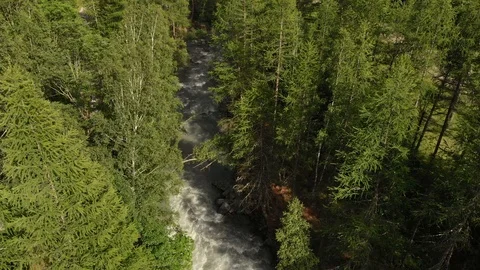 Aerial shot going forward through trees and mountain stream Stock Footage 112616326