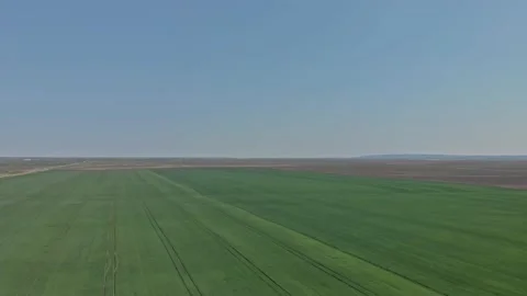 Aerial shot of grain fields Stock Footage 171569580